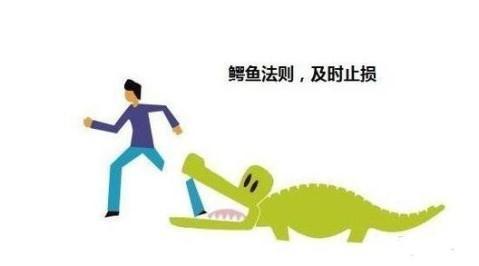 为什么说大部分外汇交易者对趋势型EA都只是“叶公好龙”(图2) 为什么说大部分外汇交易者对趋势型EA都只是“叶公好龙”(图2)